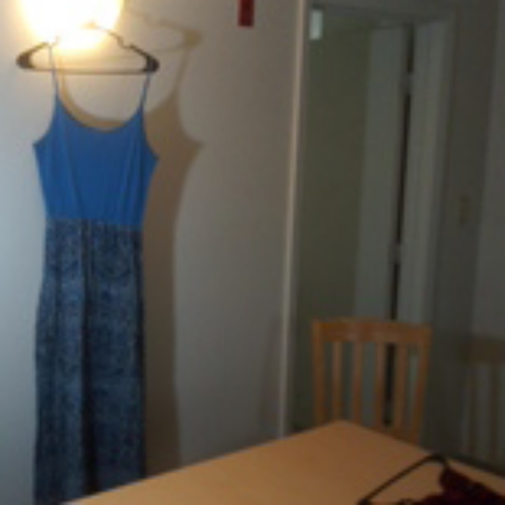 Blue Spring Dress